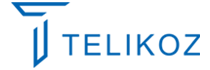 Telikoz Infotech Pvt LTD logo, Telikoz Infotech Pvt LTD contact details