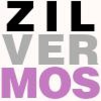 Zilvermos Webdevelopment logo, Zilvermos Webdevelopment contact details