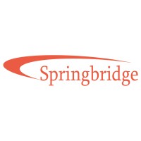 Springbridge Direct LTD logo, Springbridge Direct LTD contact details