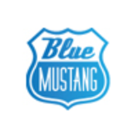 Blue Mustang B.V. logo, Blue Mustang B.V. contact details