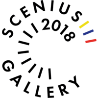 Scenius Gallery logo, Scenius Gallery contact details