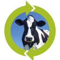 Dairy Direct Limited logo, Dairy Direct Limited contact details