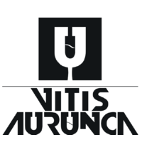 Vitis Aurunca logo, Vitis Aurunca contact details