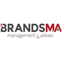 Brandsma Management & Advies logo, Brandsma Management & Advies contact details