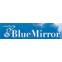 BlueMirror logo, BlueMirror contact details