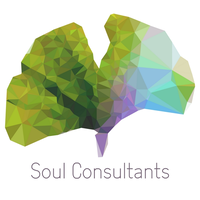 Soul Consultants logo, Soul Consultants contact details