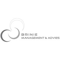 Brinie Management & Advies logo, Brinie Management & Advies contact details