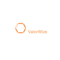 ValorWize logo, ValorWize contact details