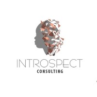 Introspect Consulting logo, Introspect Consulting contact details