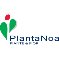 PlantaNoa logo, PlantaNoa contact details