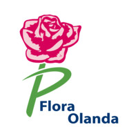 Flora Olanda logo, Flora Olanda contact details