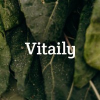 Vitaily logo, Vitaily contact details