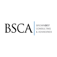 BROWNSKY CONSULTING AND ADVISORIES (BSCA) logo, BROWNSKY CONSULTING AND ADVISORIES (BSCA) contact details