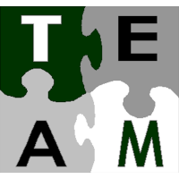 TEAM Advisory Services logo, TEAM Advisory Services contact details