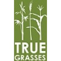 Stichting True Grasses logo, Stichting True Grasses contact details