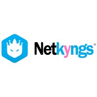 Netkyngs logo, Netkyngs contact details