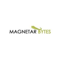 Magnetar Bytes Inc logo, Magnetar Bytes Inc contact details