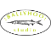 Ballyhoo Studio logo, Ballyhoo Studio contact details