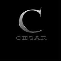 Its Cesar Management logo, Its Cesar Management contact details