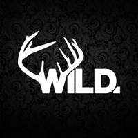 buro Wild logo, buro Wild contact details