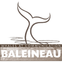 Baleineau - Whales at Communication logo, Baleineau - Whales at Communication contact details