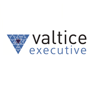 Valtice Executive logo, Valtice Executive contact details