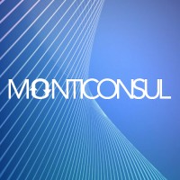 MontiConsul Group logo, MontiConsul Group contact details