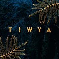 TIWYA Rotterdam logo, TIWYA Rotterdam contact details