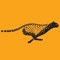 CheetahIQ logo, CheetahIQ contact details