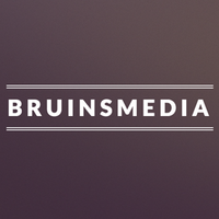 Bruinsmedia logo, Bruinsmedia contact details