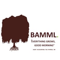 BAMML  INC logo, BAMML  INC contact details