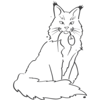 MaineCoon.nl logo, MaineCoon.nl contact details