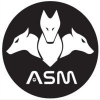 ASM Holding B.V. Global Business Development logo, ASM Holding B.V. Global Business Development contact details