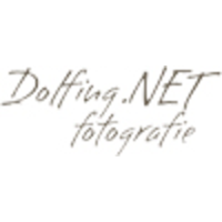 Dolfing.NET logo, Dolfing.NET contact details