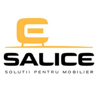 Salice Cluj-Napoca logo, Salice Cluj-Napoca contact details