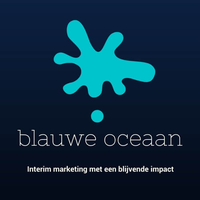 Blauwe oceaan interim marketing logo, Blauwe oceaan interim marketing contact details