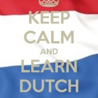 dutchflashcards logo, dutchflashcards contact details