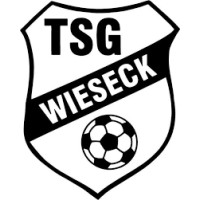 TSG Wieseck JugendFörderzentrum logo, TSG Wieseck JugendFörderzentrum contact details