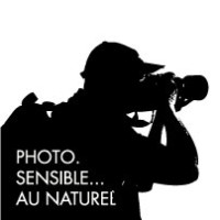 Photo. sensible... au naturel logo, Photo. sensible... au naturel contact details