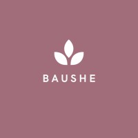 Baushe logo, Baushe contact details