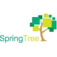 SpringTree B.V. logo, SpringTree B.V. contact details