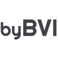 Digital Rebels by BVI logo, Digital Rebels by BVI contact details