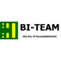 BI-Team B.V. logo, BI-Team B.V. contact details