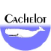 Cachelot B.V. logo, Cachelot B.V. contact details