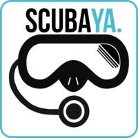 Scubaya B.V. logo, Scubaya B.V. contact details