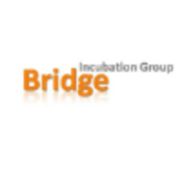 Bridge Incubation Group B.V. logo, Bridge Incubation Group B.V. contact details