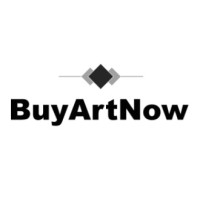 BuyArtNow.nl logo, BuyArtNow.nl contact details