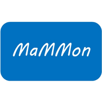 Mammon Consulting logo, Mammon Consulting contact details