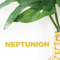 Neptunion logo, Neptunion contact details