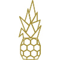 The Coded Pineapple logo, The Coded Pineapple contact details